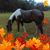 Gigi Posse's profile image