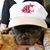 Jeffrey Roberts's profile image