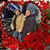 Isa Marcial's profile image