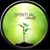Jason Steckel's profile image