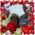 Linda Hoffmeyer's profile image