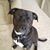 Sann Dee Farrington Gutierrez's profile image