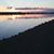 Judie Mangum's profile image