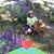 Mary Holton O'Neill's profile image