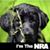 John Simpson's profile image