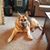 Debra Caldwell Corbett's profile image