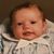 Kaytee Bossmann's profile image