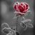Brandi Renee Sims's profile image