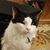 Michelle Allen Holder's profile image