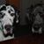 Christine Thomas's profile image