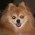 Kimberly VanderZwaag's profile image