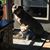 Suzie Zettl's profile image
