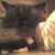 Sherri Turner's profile image