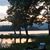 Larry John Domingue Jr.'s profile image
