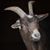 Rich Barrios's profile image