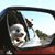 Linda Sippel Petrillo's profile image