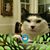 Zo Mir's profile image