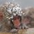 Kim Bancroft's profile image