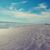 Hollie Hutchins's profile image