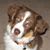 Lynn Isaeff's profile image