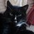 Lyn Folsom McMahon's profile image