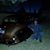 Gilbert Lucero's profile image
