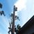 Chapin Tree Climbers's profile image