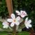 Gail Hubbard's profile image