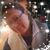 Joyce Smith Hinckley's profile image