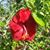 Jennifer Sutcliffe's profile image