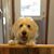 Cindy Doering's profile image