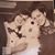 Marget Waggoner Stokes's profile image