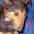 Janeth Jaramillo's profile image