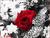 christine y.'s profile image