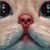 Cindy Kelly's profile image