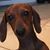 Laura Langston Blue's profile image