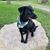 Michael Dean Markley's profile image