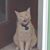 Viva Harreguy Brown's profile image