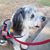 Anna Campbell's profile image