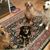 Patsy Lovingood's profile image