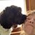 Nancy Brantner's profile image