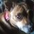 Judy Ruff's profile image