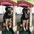 Terri Taylor Reis's profile image