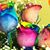 Jill Bowers's profile image