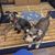 Brenda Burgoon McGuire's profile image