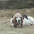 Julie Schabacker Dudley's profile image