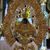 Gabriela Boyter's profile image