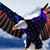 Ernesto Yrlas's profile image