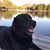 Cristy Burden Parra's profile image