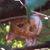 Loree Jarrell's profile image